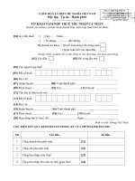 độc lập  tự do  hạnh phúctờ khai tạm nộp thuế thu nhập cá nhân