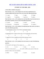 Tải Đề ôn thi vào lớp 10 môn tiếng Anh năm 2020 - 2021 số 24 - Đề thi tiếng Anh vào lớp 10 có đáp án