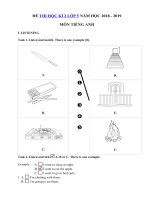 Tải Đề thi học kì 2 môn Tiếng Anh lớp 5 có file nghe năm học 2018 - 2019 số 2 - Đề thi môn Tiếng Anh lớp 5 học kỳ 2 theo thông tư 22 có đáp án