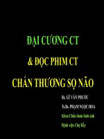 CT chanthuongsonao