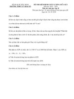 Tải Đề thi giữa học kì 1 lớp 10 môn Sinh học năm 2018 - 2019 trường THPT Lý Thái Tổ - Bắc Ninh - Đề kiểm tra Sinh học 10 giữa kì 1