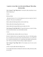 Tải Luyện từ và câu lớp 3: Đặt và trả lời câu hỏi Bằng gì? Dấu chấm, dấu hai chấm - Giải bài tập SGK Tiếng Việt 3 tập 2