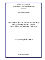 (Luận văn thạc sĩ) phân tích các yếu tố ảnh hưởng đến hiệu quả hoạt động của các ngân hàng thương mại việt nam 