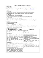 Tải Giáo án môn Sinh học lớp 8 bài 18 - Thực hành sơ cứu cầm máu