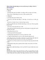 Tải Phân tích hành động cởi trói của Mị trong Vợ chồng A Phủ Tô Hoài - Phân tích tác phẩm Vợ chồng A Phủ