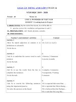 Tải Giáo án tiếng Anh lớp 9 Tuần 14 sách mới - Giáo án điện tử môn tiếng Anh 9 theo tuần