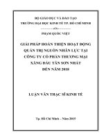(Luận văn thạc sĩ) giải pháp hoàn thiện hoạt động quản trị nguồn nhân lực tại công ty cổ phần thương mại xăng dầu tân sơn nhất đến năm 2018 