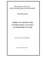 (Luận văn thạc sĩ) nghiên cứu chuỗi giá trị sản phẩm mãng cầu bà đen tại thành phố tây ninh 