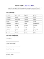 03 - Ôn tập tiếng Anh lớp 2 giữa học kì 2 có đáp án