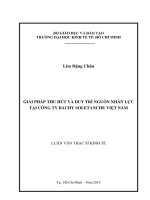 (Luận văn thạc sĩ) giải pháp thu hút và duy trì nguồn nhân lực tại công ty bachy soletanche việt nam 