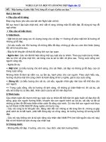 Tải Nghị luận xã hội về lối sống đẹp - Những bài văn mẫu nghị luận xã hội hay