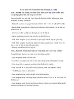 Tải 11 câu phân tích kế hoạch bài dạy môn Lịch sử THPT - 11 câu kế hoạch dạy học môn Sử (Tài liệu mang tính chất tham khảo)