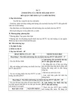 Tải Giáo án Công nghệ 10 bài 19: Ảnh hưởng của thuốc hóa học bảo vệ thực vật đến quan hệ sinh vật và môi trường - Giáo án điện tử Công nghệ 10