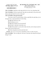 Tải Đề kiểm tra học kì 1 môn Giáo dục công dân lớp 11 năm học 2012 - 2013 trường THPT Tân An, Trà Vinh - Đề thi học kì I môn GDCD lớp 11 có đáp án