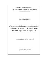 (Luận văn thạc sĩ) ứng dụng mô hình dea đánh giá hiệu quả hoạt động của các ngân hàng thương mại cổ phần việt nam 