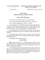 chính phủ về thí điểm thành lập tổ chức hoạt động và quản lý tập đoàn kinh tế