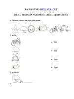 03 - Ôn tập tiếng Anh lớp 2 giữa học kì 2 có đáp án