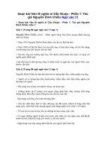 Tải Soạn bài Văn tế nghĩa sĩ Cần Giuộc - Phần 1: Tác giả Nguyễn Đình Chiểu - Soạn bài lớp 11 học kì 1