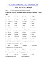 Tải Đề thi thử vào lớp 6 môn tiếng Anh năm 2020 - 2021 - Đề thi tuyển sinh lớp 6 môn Anh có đáp án