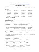 Tải Đề thi học sinh giỏi môn Tiếng Anh lớp 11 năm học 2018 - 2019 số 2 - Bồi dưỡng HSG lớp 11 môn Tiếng Anh chương trình mới