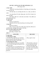 Tải Giáo án Mĩ thuật Đan Mạch lớp 4 bài 2: Chúng em với thế giới động vật - Tiết 3 - Giáo án điện tử Mỹ thuật lớp 4 theo phương pháp Đan Mạch