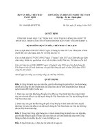 việt nam về việc đề xuất danh mục các giải đấu bóng đá quốc tế năm 2018 được fifa