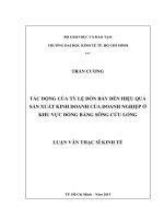 (Luận văn thạc sĩ) tác động của tỷ lệ đòn bẩy đến hiệu quả sản xuất kinh doanh của doanh nghiệp ở khu vực đồng bằng sông cửu long 