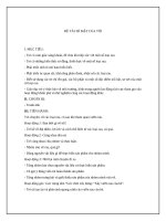 Tải Giáo án mầm non đề tài: Bí mật của tôi - Giáo án chủ đề thế giới thực vật