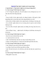 Tải Soạn bài Thực hành về nghĩa của từ trong sử dụng - Soạn bài môn Ngữ văn lớp 11 học kỳ I