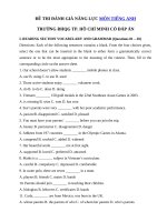 Tải Đề thi mẫu đánh giá năng lực môn Tiếng Anh trường ĐHQG TP. Hồ Chí Minh - Đề thi năng lực của trường ĐH Quốc Gia TP.HCM