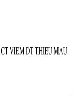 CT viem DTnhoi mau