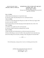 Tải Đề thi giữa học kì 1 lớp 10 môn Địa lý năm 2018 - 2019 trường THPT Lý Thái Tổ - Bắc Ninh - Đề thi giữa học kì 1 Địa lý lớp 10 có đáp án