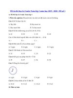 Tải Đề ôn tập học kì 2 môn Toán lớp 1 năm học 2019 - 2020 - Đề số 1 - Đề thi toán học kì 2 lớp 1