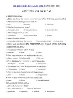 Tải Đề thi giữa kì 1 lớp 9 môn tiếng Anh năm 2020 - Đề thi tiếng Anh lớp 9 giữa học kì 1 có đáp án