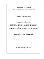 (Luận văn thạc sĩ) giải pháp nâng cao hiệu quả hoạt động kinh doanh tại ngân hàng TMCP phương đông 