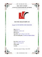 Tạ văn trường tội chứa mại dâm hồ sơ diễn án hình sự số 01