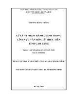 Xử lý vi phạm hành chính trong lĩnh vực văn hóa từ thực tiễn tỉnh Cao Bằng
