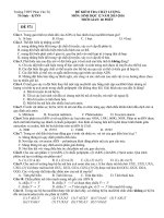 Tải Đề thi khảo sát chất lượng đầu năm môn Sinh học lớp 12 trường THPT Phan Văn Trị, Cần Thơ năm học 2015 - 2016 - Đề kiểm tra đầu năm môn Sinh lớp 12 có đáp án