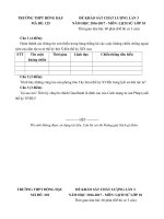 Tải Đề thi giữa học kì 2 môn Lịch sử lớp 10 trường THPT Đồng Đậu, Vĩnh Phúc năm học 2016 - 2017 - Đề kiểm tra giữa học kì II môn Lịch sử lớp 10 có đáp án