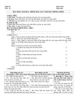 Tải Giáo án Tin học 9: Bài thực hành 6: Thêm màu sắc cho bài trình chiếu (Tiếp theo) - Giáo án điện tử Tin học lớp 9