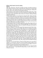 Tải Thuyết minh về món mỳ Quảng - Bài văn mẫu lớp 8