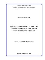 (Luận văn thạc sĩ) các nhân tố tạo động lực làm việc trường hợp bộ phận kinh doanh công ty nutifood việt nam 