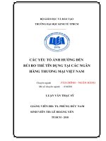 (Luận văn thạc sĩ) các yếu tố ảnh hưởng đến rủi ro thẻ tín dụng tại các ngân hàng thương mại việt nam 