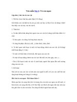 Tải Tập làm văn lớp 4: Tả con ngan - Bài văn mẫu tả con ngan hay