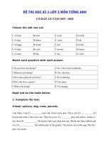 Tải Đề thi học kì 2 lớp 3 môn tiếng Anh năm 2019 - 2020 số 2 - Đề tiếng Anh lớp 3 học kì 2 có đáp án
