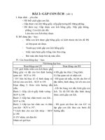 Tải Giáo án môn Thủ công 3 bài 2: Gấp con ếch - Giáo án điện tử môn Thủ công lớp 3