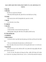 Tải Giáo án Công nghệ 10 bài 15: Điều kiện phát sinh, phát triển của sâu, bệnh hại cây trồng - Giáo án điện tử Công nghệ 10