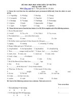 Tải Đề thi học sinh giỏi lớp 6 môn Tiếng Anh năm học 2018 - 2019 số 9 - Đề thi chọn học sinh giỏi môn Tiếng Anh cấp trường có đáp án