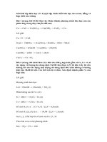 Tải Giải bài tập Hóa học 12 bài 38: Luyện tập Tính chất hóa học của crom, đồng và hợp chất của chúng - Giải bài tập Hóa học 12