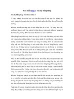 Tải Tả cây bằng lăng - 3 bài văn mẫu tả cây bằng lăng lớp 4, 5